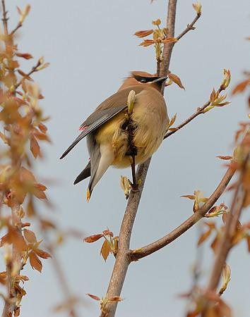 DSC_5596.jpg