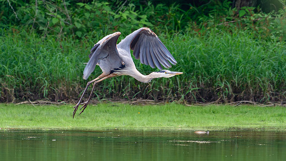 DSC_4933