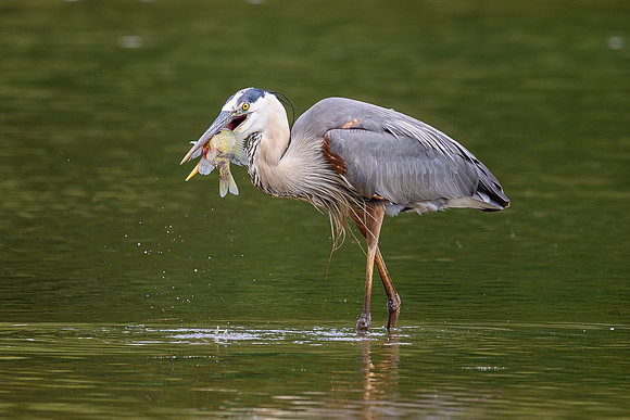 DSC_5011