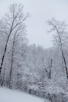 Snow, Canton, GA