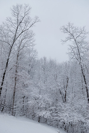 Snow, Canton, GA