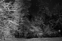 Snow, Canton, GA