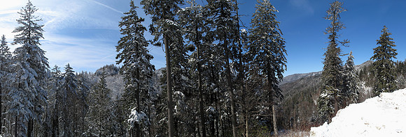 Great Smoky Mountains