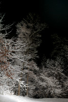 Snow, Canton, GA