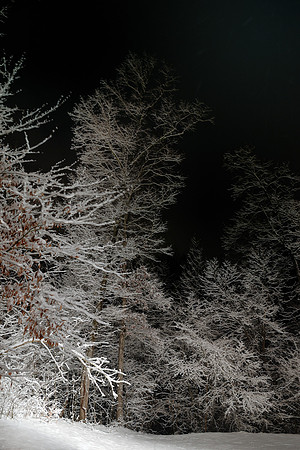 Snow, Canton, GA