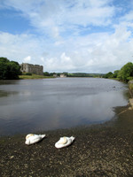 Carew Castle, Pembrokeshire