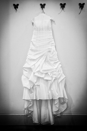 DSC_8463-Edit-Edit