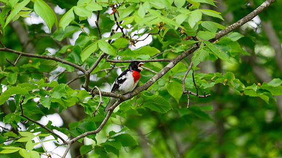 DSC_6316-Enhanced-NR