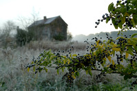 Dawn, Old Barn, Ball Ground, GA 1