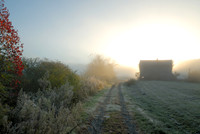 Dawn, Old Barn, Ball Ground, GA 3