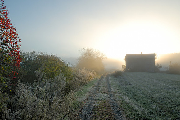 Dawn, Old Barn, Ball Ground, GA 3